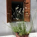 아파트 Dominique & Carlos Place Mykonos Town