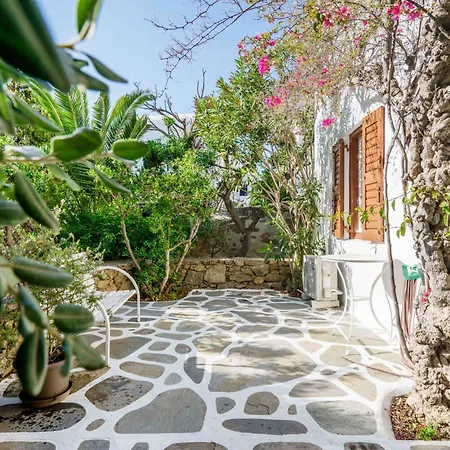 Διαμέρισμα Dominique & Carlos Place Mykonos Town