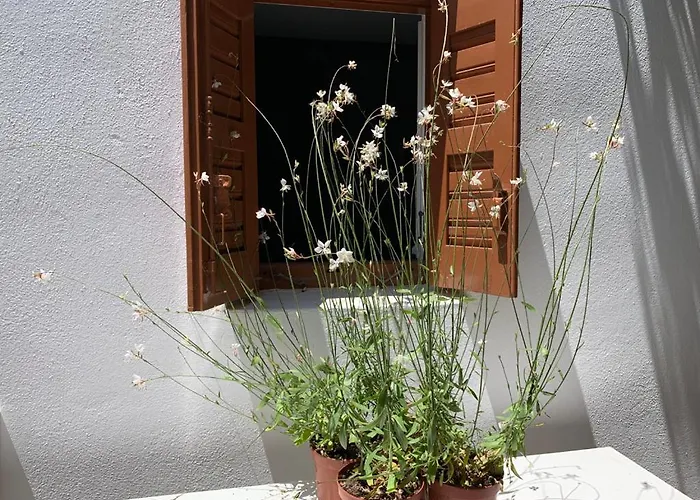 شقة Dominique & Carlos Place Mykonos Town